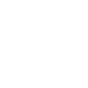 IDIR Logo